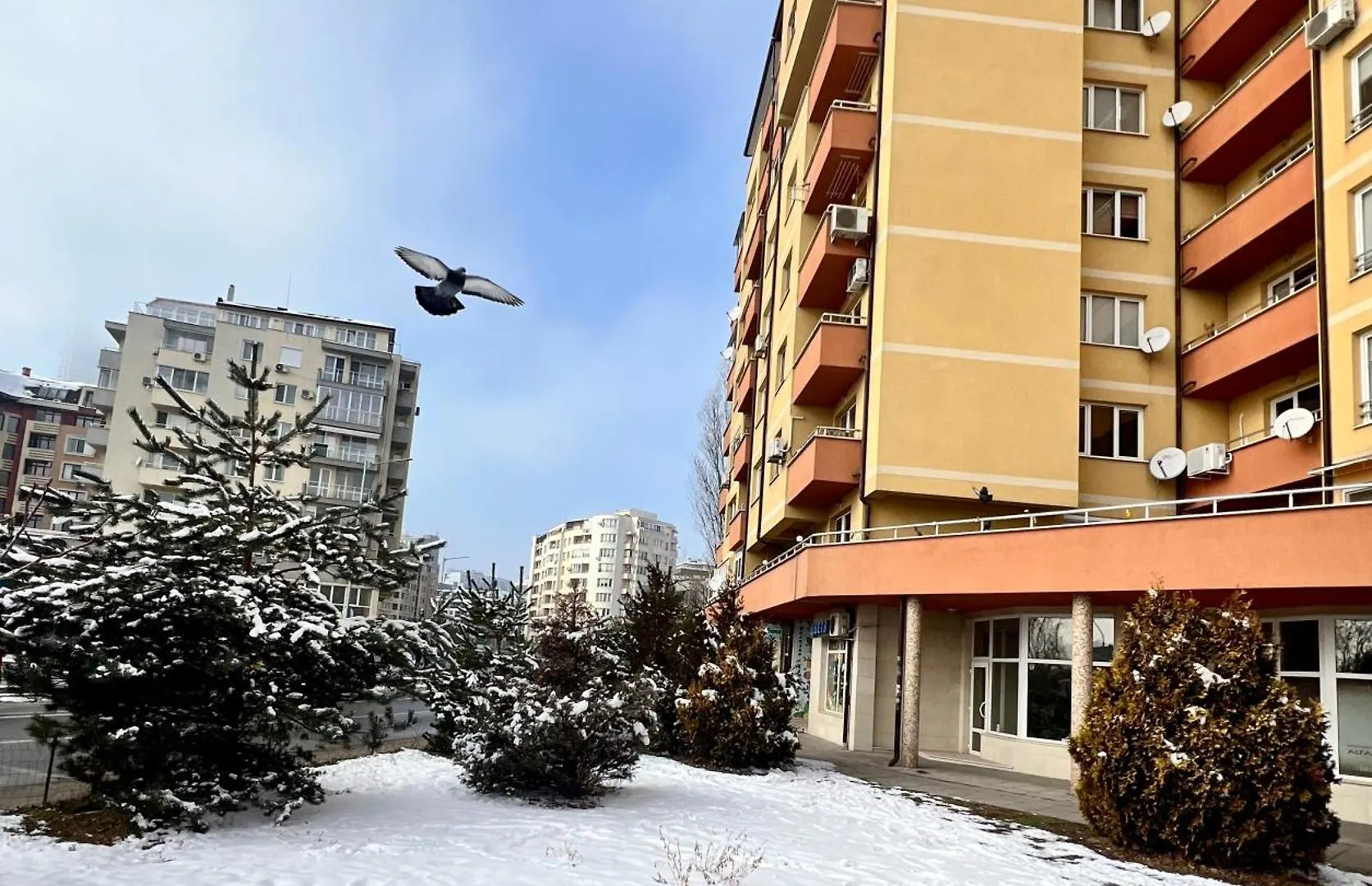 Appartement Flower House 10 Sofia